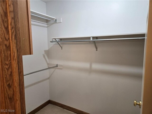 spacious closet featuring carpet floors