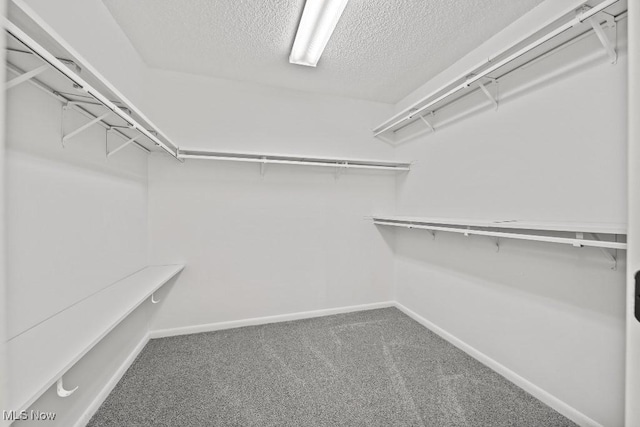 walk in closet featuring carpet