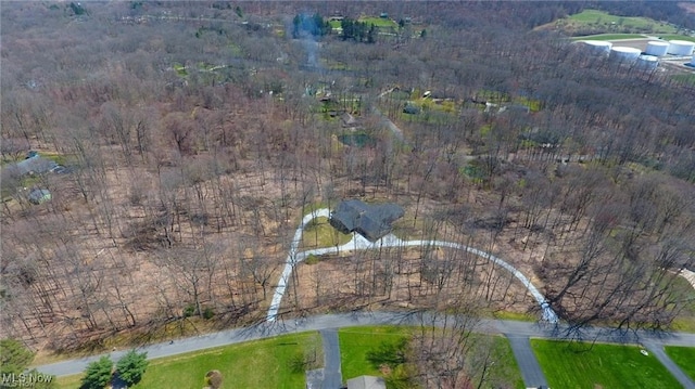 bird's eye view with a forest view