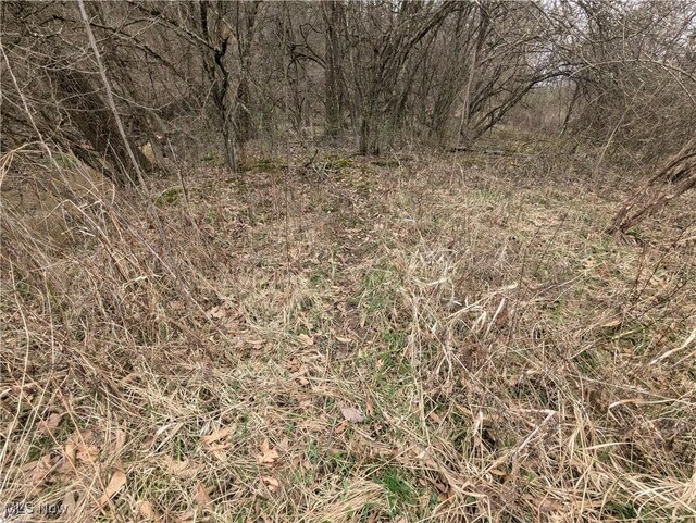 Burrier Rd, Jewett, OH 43986 - photo 21
