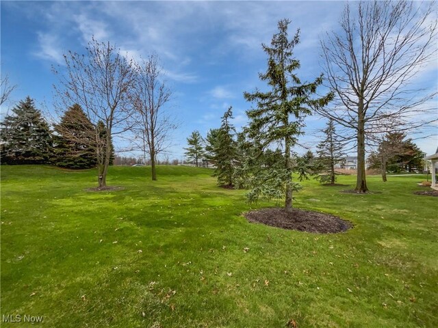 13 Whitaker Cv, Avon Lake, OH 44012 - photo 7