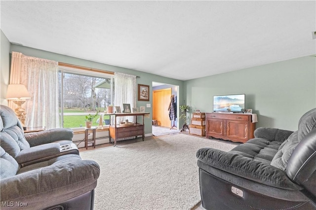 4000 S Mahoning Ave, Alliance, OH 44601 - carpeted living area with baseboard heating