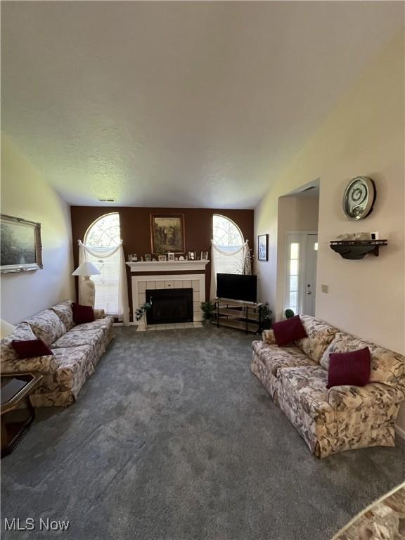 47 Woodland Chase Blvd, Niles, OH 44446 - carpeted living area featuring a tile fireplace and vaulted ceiling