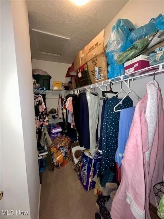 47 Woodland Chase Blvd, Niles, OH 44446 - walk in closet with carpet floors and attic access