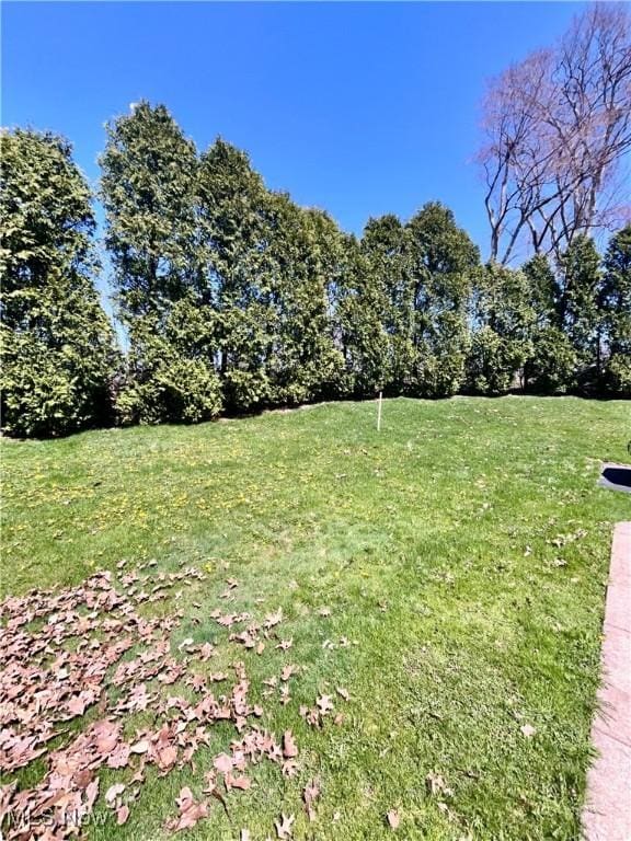 47 Woodland Chase Blvd, Niles, OH 44446 - view of yard