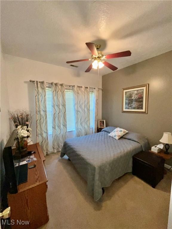 47 Woodland Chase Blvd, Niles, OH 44446 - carpeted bedroom featuring a ceiling fan