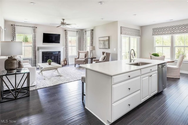 kitchen featuring dishwasher, a sink, a ceiling fan, and plenty of natural light