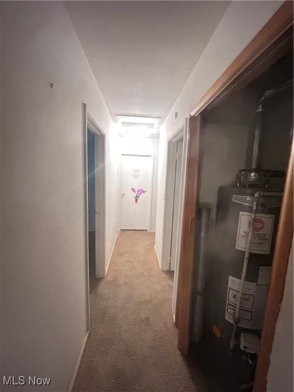 2424 Mccartney Rd, Youngstown, OH 44505 - hallway featuring gas water heater and carpet flooring