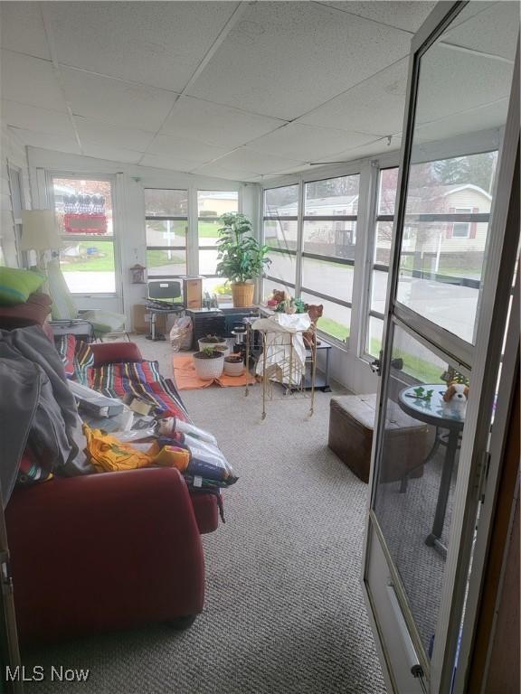 58 Wilpark Dr, Akron, OH 44312 - sunroom featuring carpet flooring, a drop ceiling, and a healthy amount of sunlight