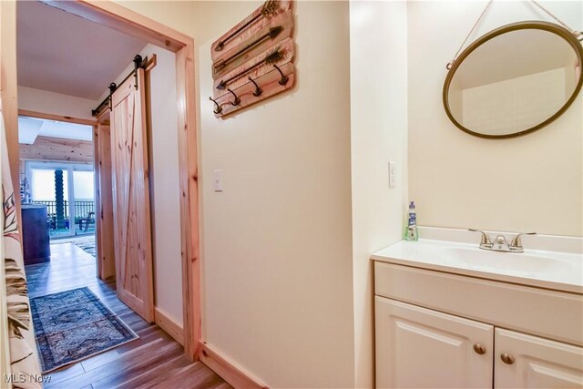 bathroom with baseboards, vanity, and wood finished floors