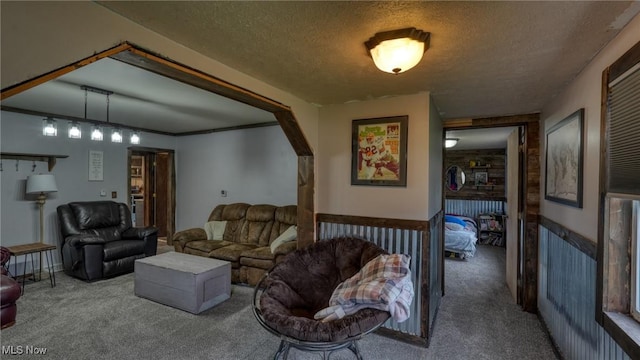 carpeted living room with a textured ceiling