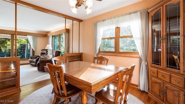 165 Reservoir Rd, New Concord, OH 43762 - dining area with dark wood finished floors