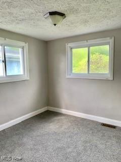 1317 Josephine St, Toronto, OH 43964 - carpeted empty room featuring plenty of natural light, baseboards, and a textured ceiling