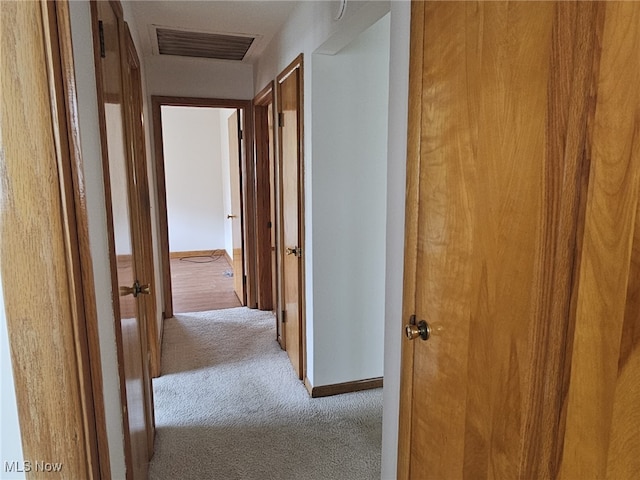3509 11th Ave, Vienna, WV 26105 - hallway with baseboards, carpet, and visible vents