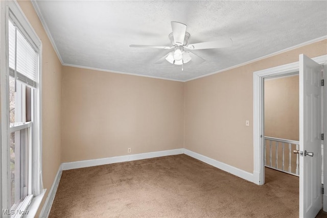 4089 Lincoln Ave, Shadyside, OH 43947 - photo 19