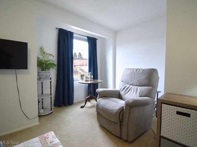 living area with light carpet