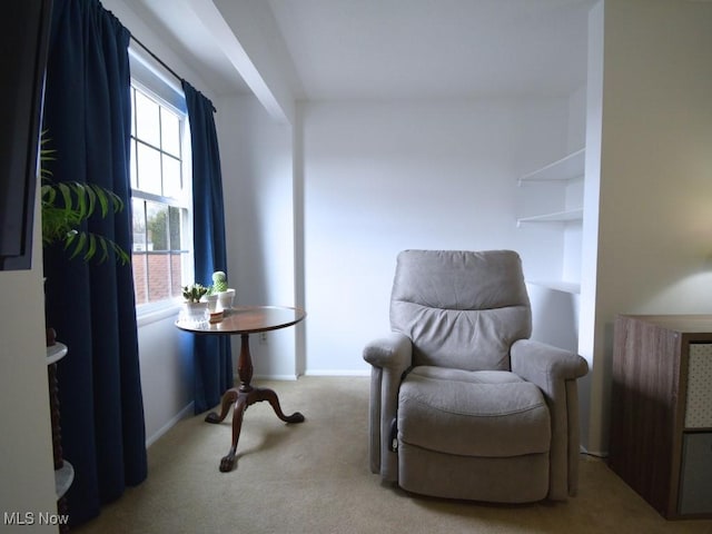 sitting room featuring baseboards and carpet floors