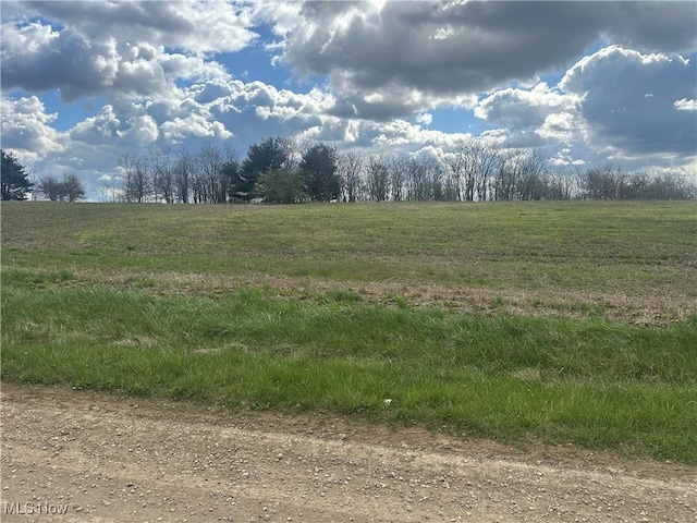 16386 Township Road 118, Kimbolton, OH 43812 - photo 5