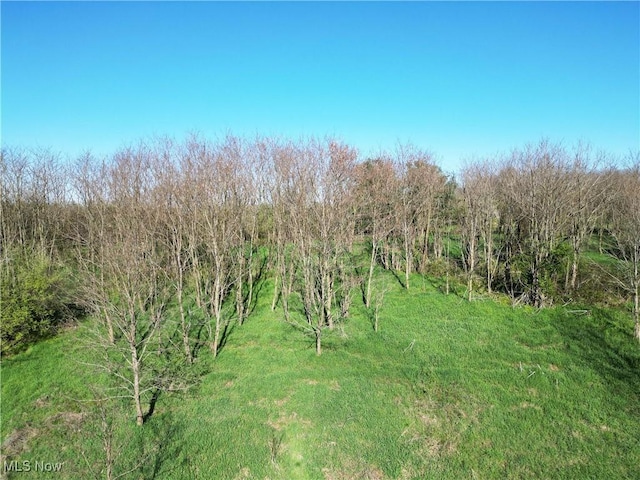 16386 Township Road 118, Kimbolton, OH 43812 - photo 18