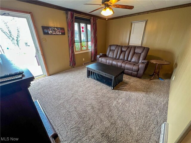 106 N Surry Rd, East Liverpool, OH 43920 - living room with visible vents, a ceiling fan, and ornamental molding