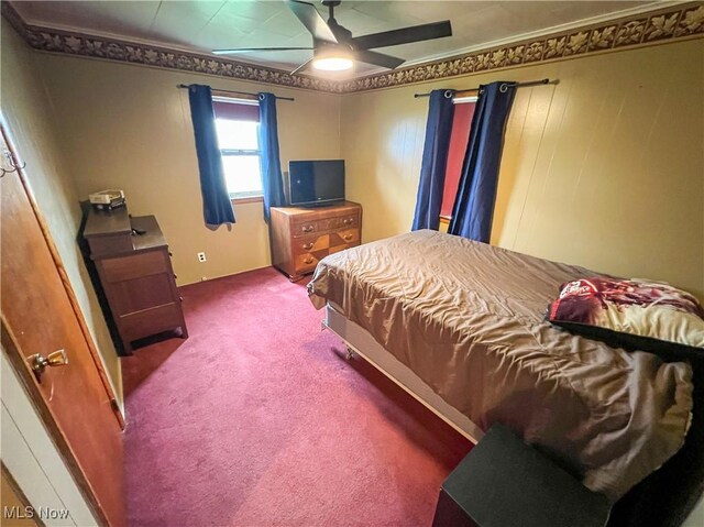 106 N Surry Rd, East Liverpool, OH 43920 - bedroom featuring a ceiling fan and carpet