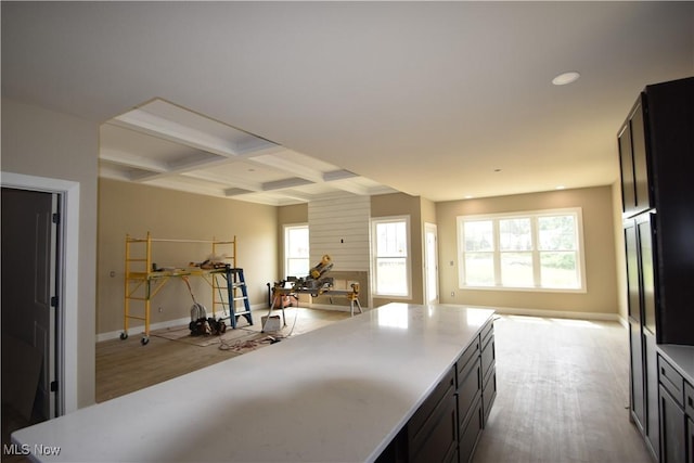 1486 Lake Front Blvd, North Lima, OH 44452 - kitchen with open floor plan, coffered ceiling, beam ceiling, light countertops, and wood finished floors