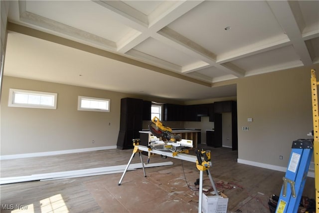 1486 Lake Front Blvd, North Lima, OH 44452 - kitchen with coffered ceiling, baseboards, beamed ceiling, dark cabinetry, and light wood finished floors