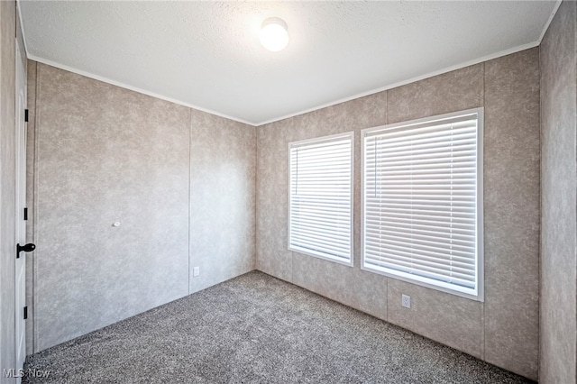 53 Martha Dr, Madison, OH 44057 - unfurnished room with crown molding, carpet flooring, and a textured ceiling