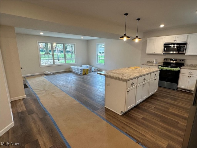 738 Mineral Springs Ave, Youngstown, OH 44511 - kitchen with stainless steel appliances, open floor plan, dark wood finished floors, and recessed lighting