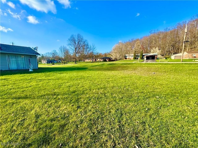 view of yard