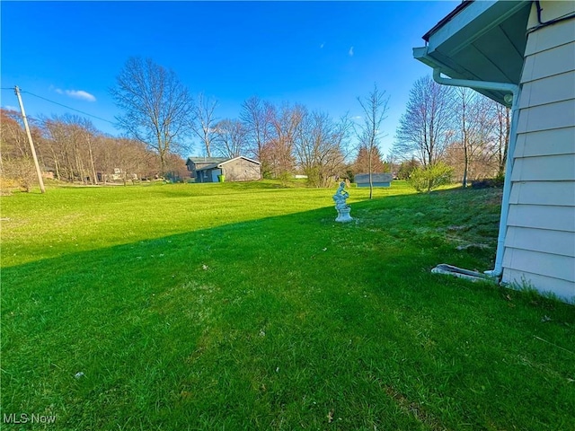 view of yard