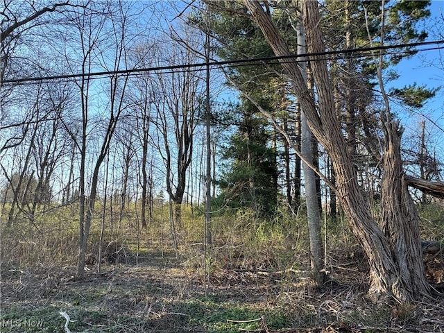 10444 Mulberry Rd, Chardon, OH 44024