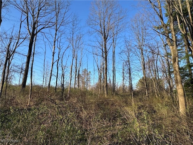 10444 Mulberry Rd, Chardon, OH 44024