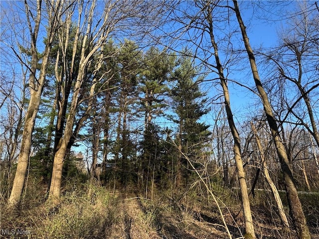 10444 Mulberry Rd, Chardon, OH 44024