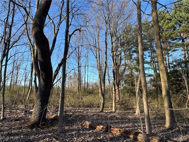 10444 Mulberry Rd, Chardon, OH 44024