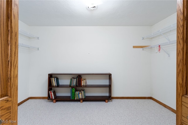 spacious closet with carpet