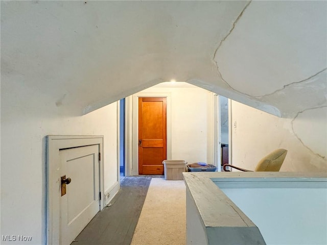 additional living space featuring vaulted ceiling and wood finished floors