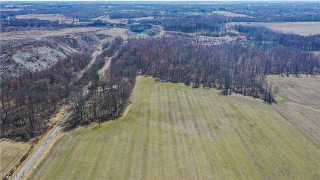 LotA Arrel Road, Poland, OH 44436 - photo 5
