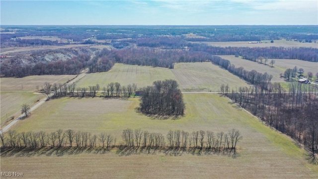 LotA Arrel Road, Poland, OH 44436 - photo 7