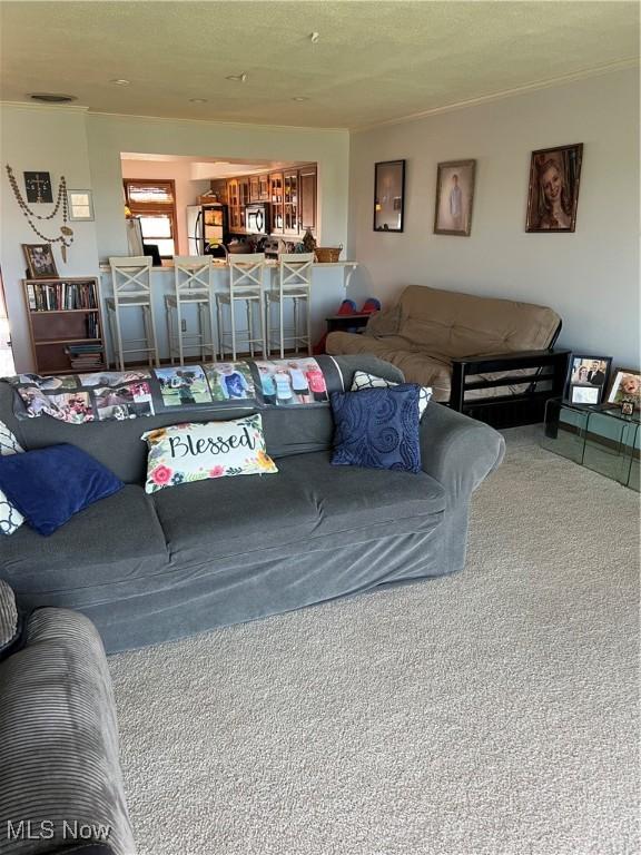 living room with carpet flooring