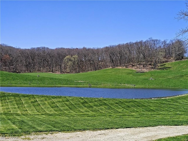 1347 Andora Rd, Carrollton, OH 44615 - water view with a heavily wooded area