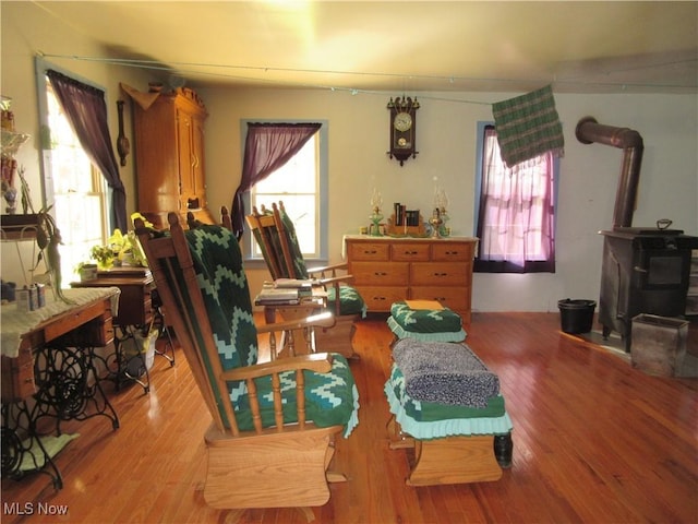 interior space with a wood stove and wood finished floors