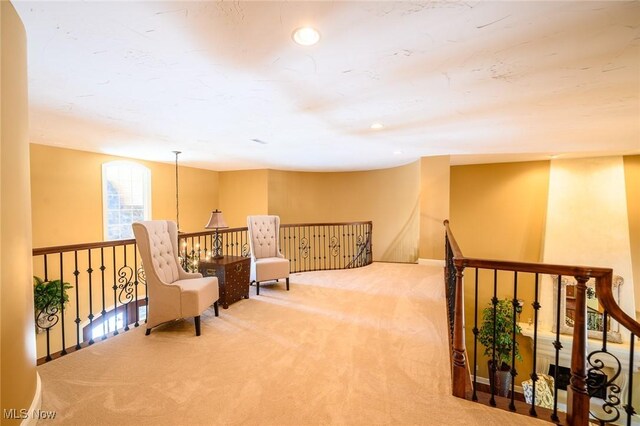 215 Brighton Ln, Peninsula, OH 44264 - photo 41