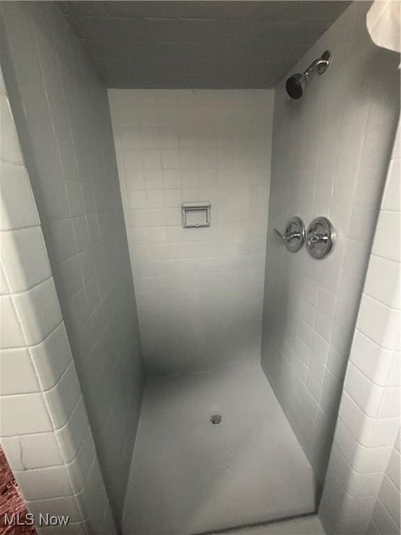 405 Oak Knoll Ave SE, Warren, OH 44483 - bathroom with tiled shower