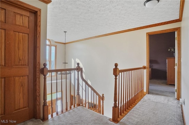 stairway featuring carpet floors, ornamental molding, and a textured ceiling