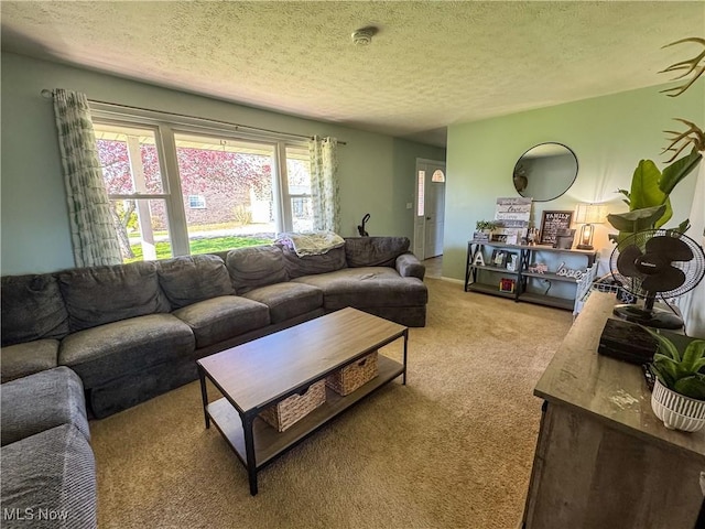 203 57th St, Vienna, WV 26105 - carpeted living area with a textured ceiling