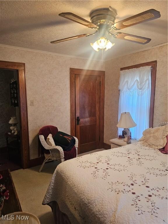 445 N 18th St, Sebring, OH 44672 - bedroom featuring a textured ceiling, a ceiling fan, and ornamental molding
