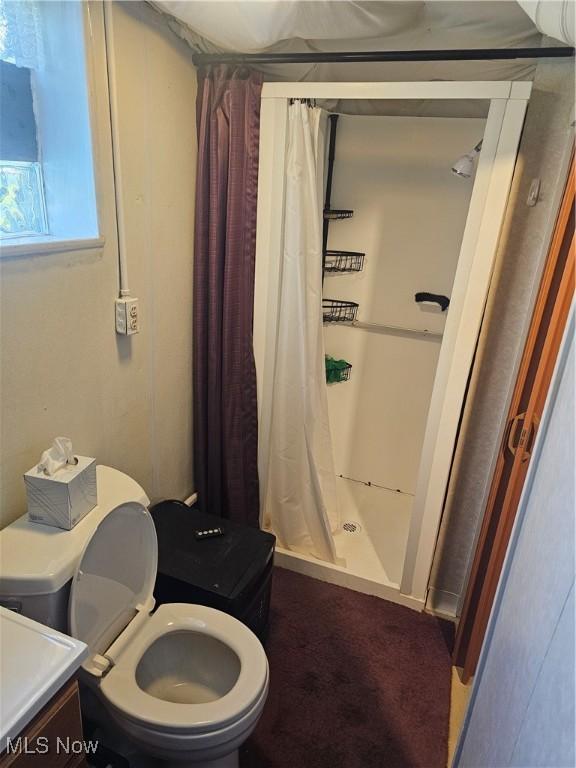 445 N 18th St, Sebring, OH 44672 - full bath with a sink, a shower stall, and toilet