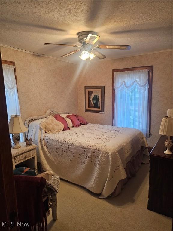 445 N 18th St, Sebring, OH 44672 - bedroom with ornamental molding, carpet floors, a ceiling fan, and a textured ceiling