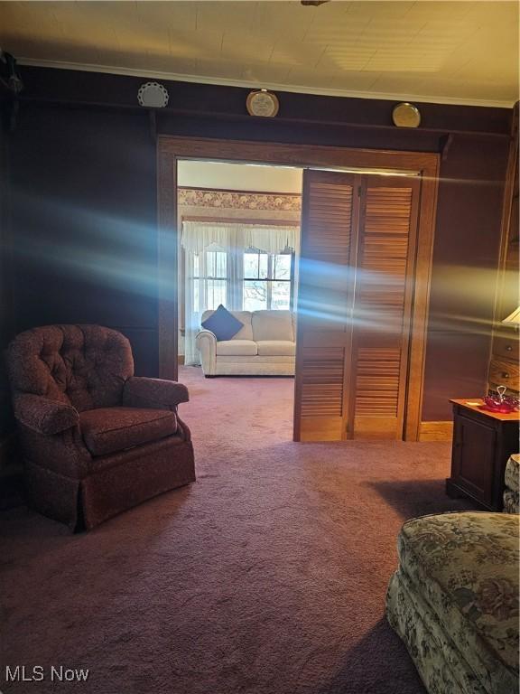 445 N 18th St, Sebring, OH 44672 - view of carpeted bedroom